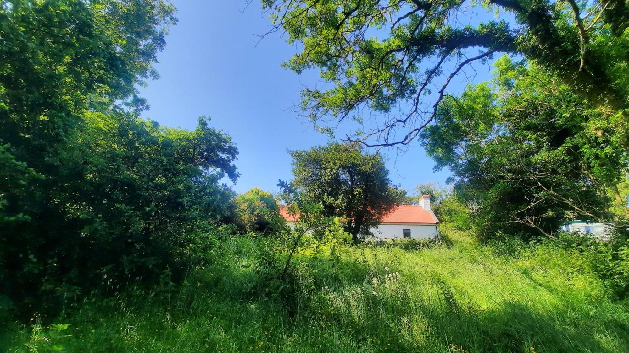 -Going Back In Time- 200 Year Old Farmhouse Creegh エクステリア 写真